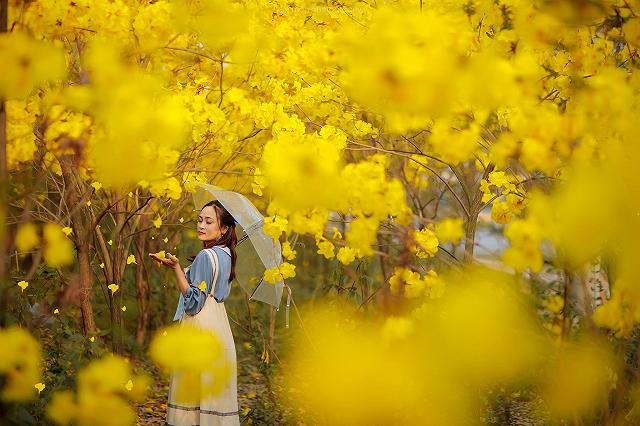 lac giua vuon hoa phong linh dep hut hon nhu chon co tich - anh 40