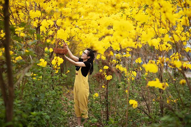 lac giua vuon hoa phong linh dep hut hon nhu chon co tich - anh 22