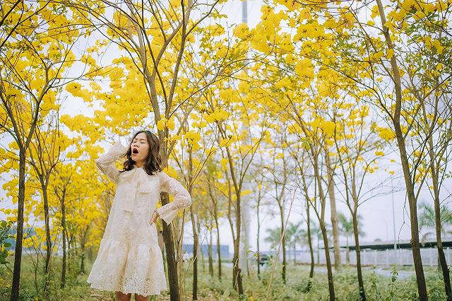 lac giua vuon hoa phong linh dep hut hon nhu chon co tich - anh 39