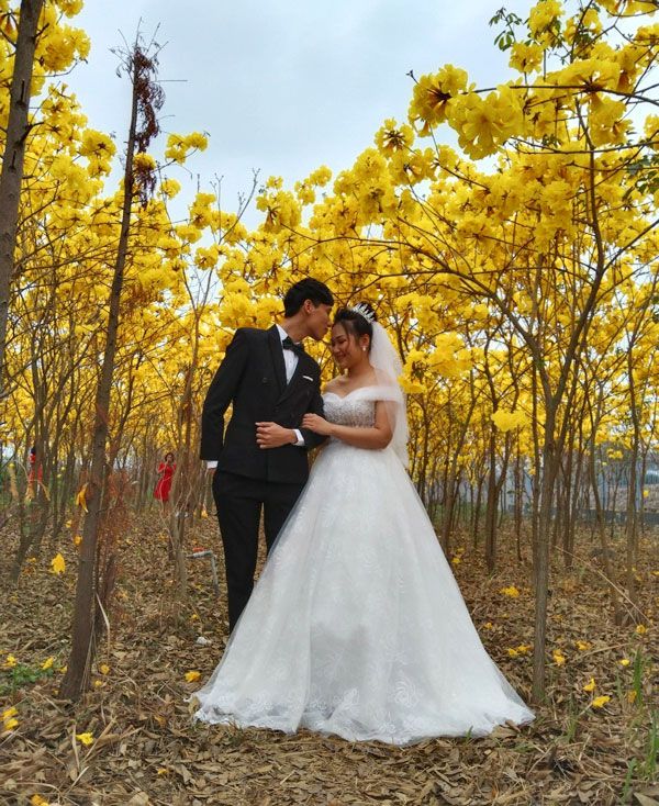 lac giua vuon hoa phong linh dep hut hon nhu chon co tich - anh 29