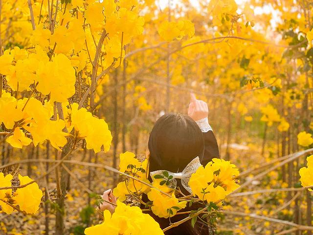 lac giua vuon hoa phong linh dep hut hon nhu chon co tich - anh 24