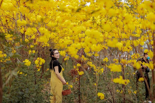 lac giua vuon hoa phong linh dep hut hon nhu chon co tich - anh 18