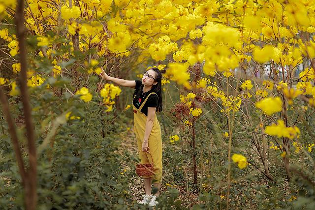 lac giua vuon hoa phong linh dep hut hon nhu chon co tich - anh 15
