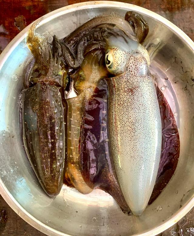 Sài Gòn nóng quá, rủ bạn bè đi bè nổi giữa biển, tắm đã ăn hải sản tươi ngon thôi nào! - ảnh 21 sai gon nong qua, ru ban be di be noi giua bien, tam da an hai san tuoi ngon thoi nao! - anh 21