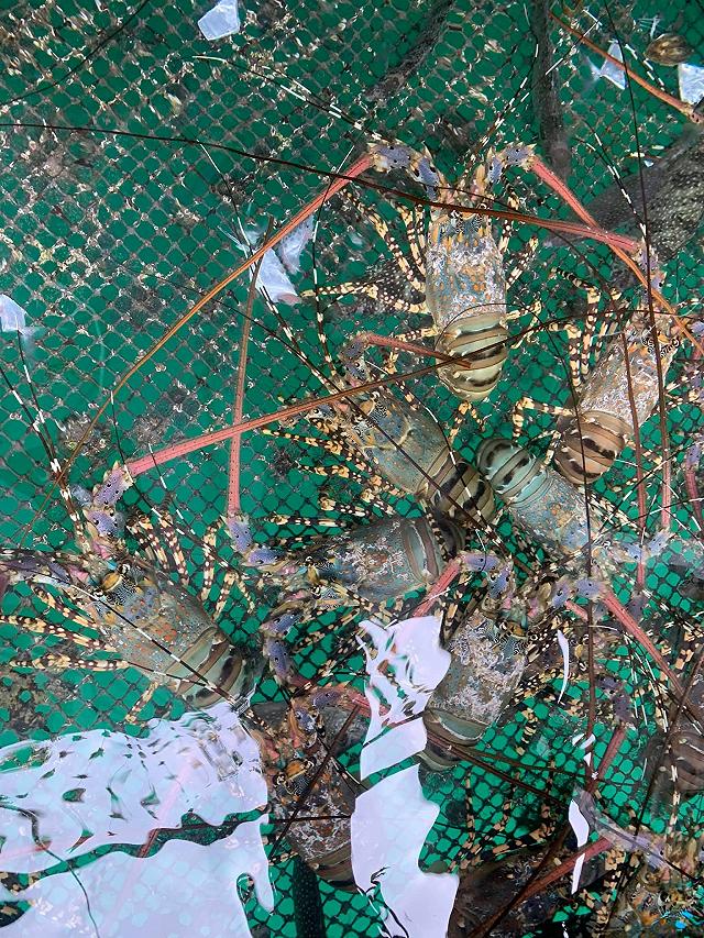 Sài Gòn nóng quá, rủ bạn bè đi bè nổi giữa biển, tắm đã ăn hải sản tươi ngon thôi nào! - ảnh 20 sai gon nong qua, ru ban be di be noi giua bien, tam da an hai san tuoi ngon thoi nao! - anh 20