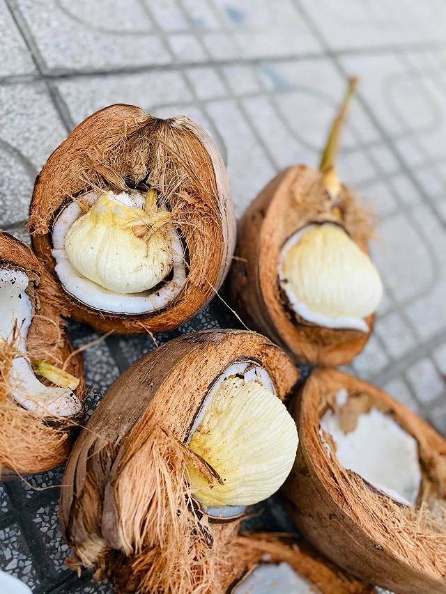 Thử một lần mê luôn MỘNG DỪA TƯƠI NGỌT MÁT đặc sản của miền tây - ảnh 9 thu mot lan me luon mong dua tuoi ngot mat dac san cua mien tay - anh 9