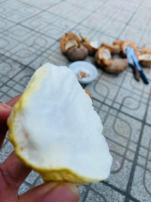 Thử một lần mê luôn MỘNG DỪA TƯƠI NGỌT MÁT đặc sản của miền tây - ảnh 7 thu mot lan me luon mong dua tuoi ngot mat dac san cua mien tay - anh 7