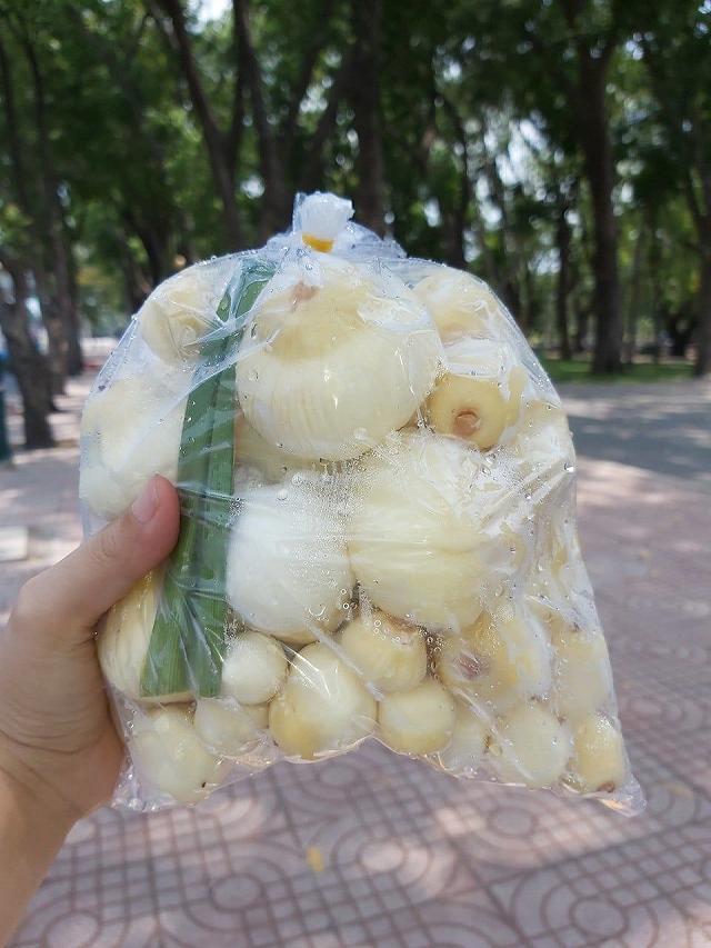 Thử một lần mê luôn MỘNG DỪA TƯƠI NGỌT MÁT đặc sản của miền tây - ảnh 15 thu mot lan me luon mong dua tuoi ngot mat dac san cua mien tay - anh 15