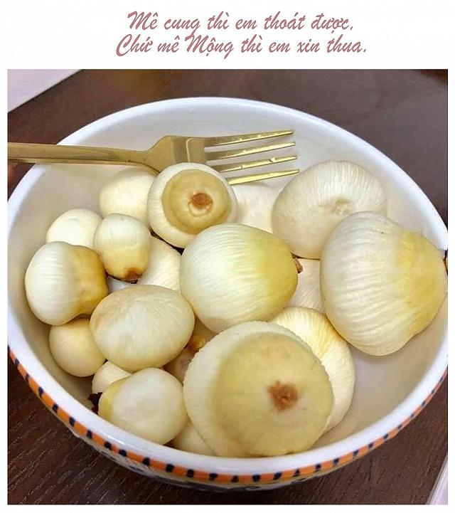 Thử một lần mê luôn MỘNG DỪA TƯƠI NGỌT MÁT đặc sản của miền tây - ảnh 1 thu mot lan me luon mong dua tuoi ngot mat dac san cua mien tay - anh 1