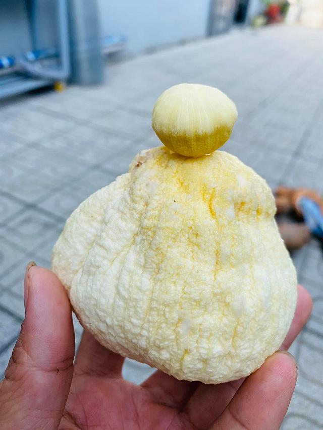 Thử một lần mê luôn MỘNG DỪA TƯƠI NGỌT MÁT đặc sản của miền tây - ảnh 11 thu mot lan me luon mong dua tuoi ngot mat dac san cua mien tay - anh 11