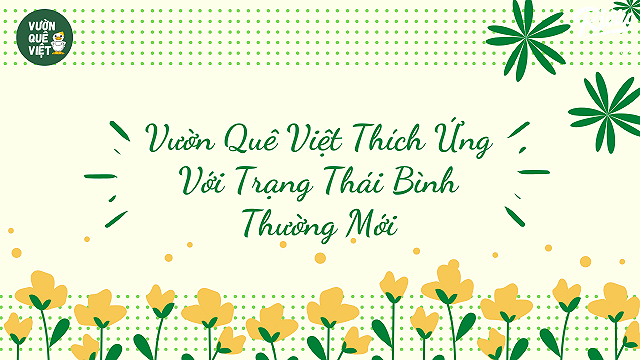 farmstay vuon que viet thich ung voi trang thai binh thuong moi - anh 1
