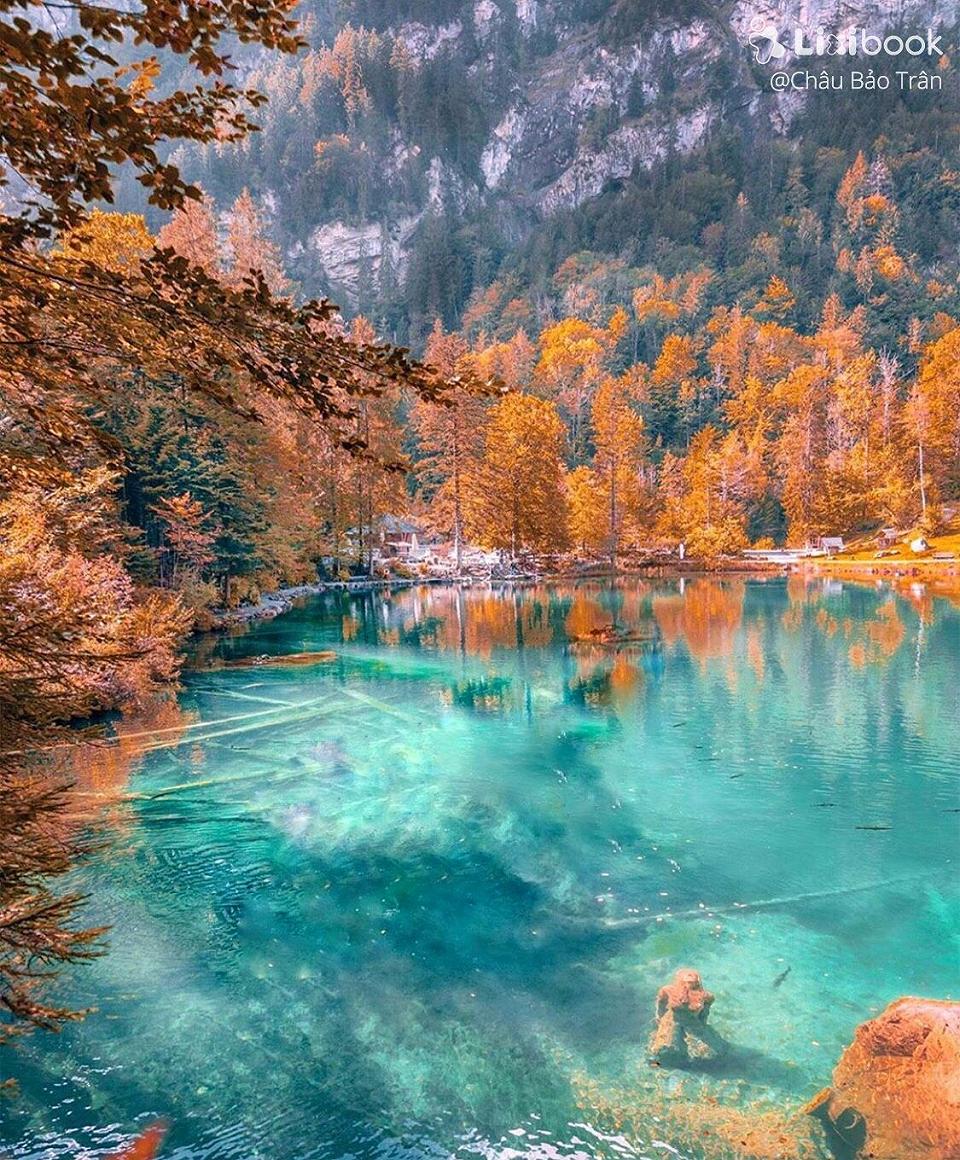 Nature Park Blausee chính là một khu công viên thiên nhiên tuyệt vời nhất Thụy Sĩ, nơi vịnh xanh và nước trong làm say mê bất kỳ ai. Hãy xem những hình ảnh này để chuẩn bị cho chuyến đi thú vị.