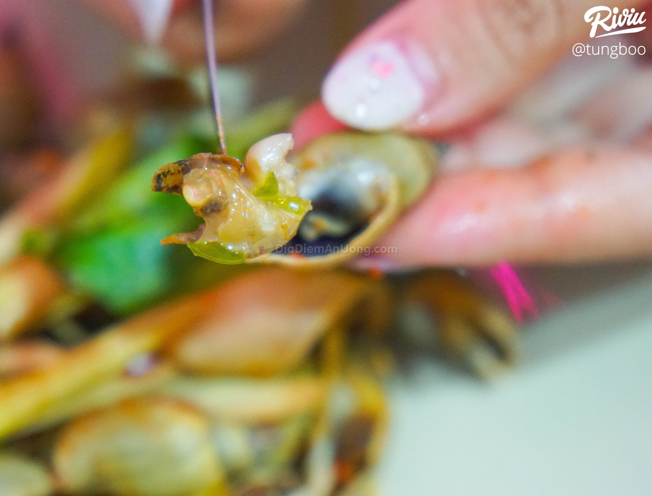 Chị em rủ nhau đi ăn ốc bán thâu đêm style ITAEWON CLASS độc nhất Hà Nội - ảnh 30 chi em ru nhau di an oc ban thau dem style itaewon class doc nhat ha noi - anh 30