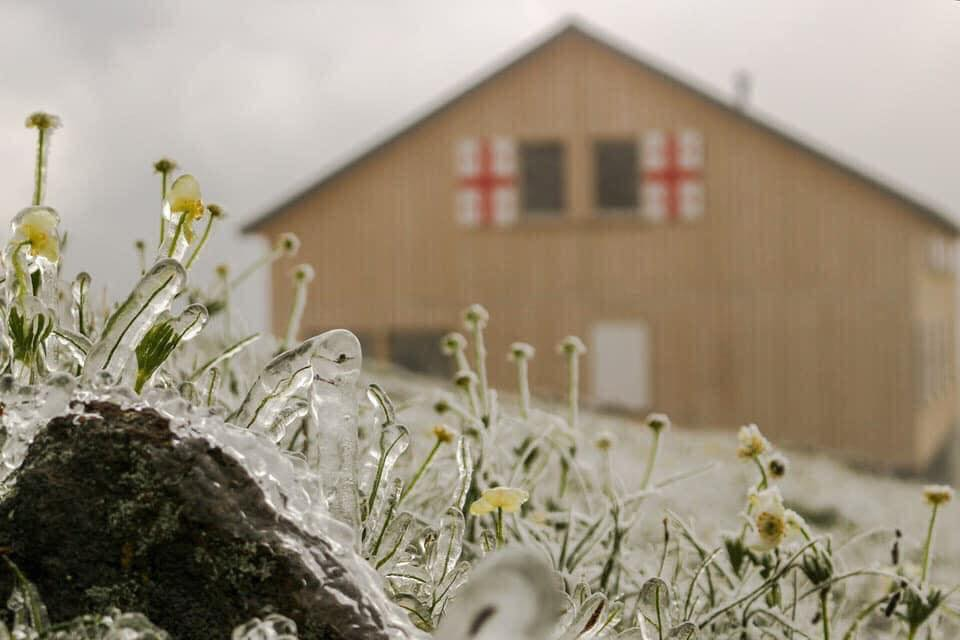 mon moi cho ngay sapa co bang tuyet dau mua tua nhu chon chau au thu nho - anh 4