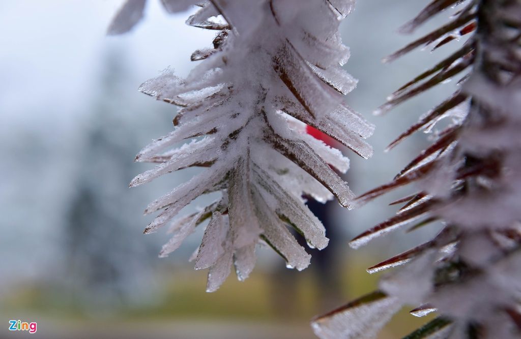 mon moi cho ngay sapa co bang tuyet dau mua tua nhu chon chau au thu nho - anh 17