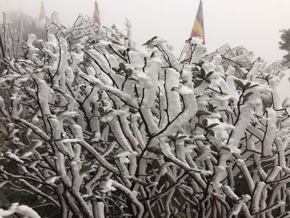 mon moi cho ngay sapa co bang tuyet dau mua tua nhu chon chau au thu nho - anh 10