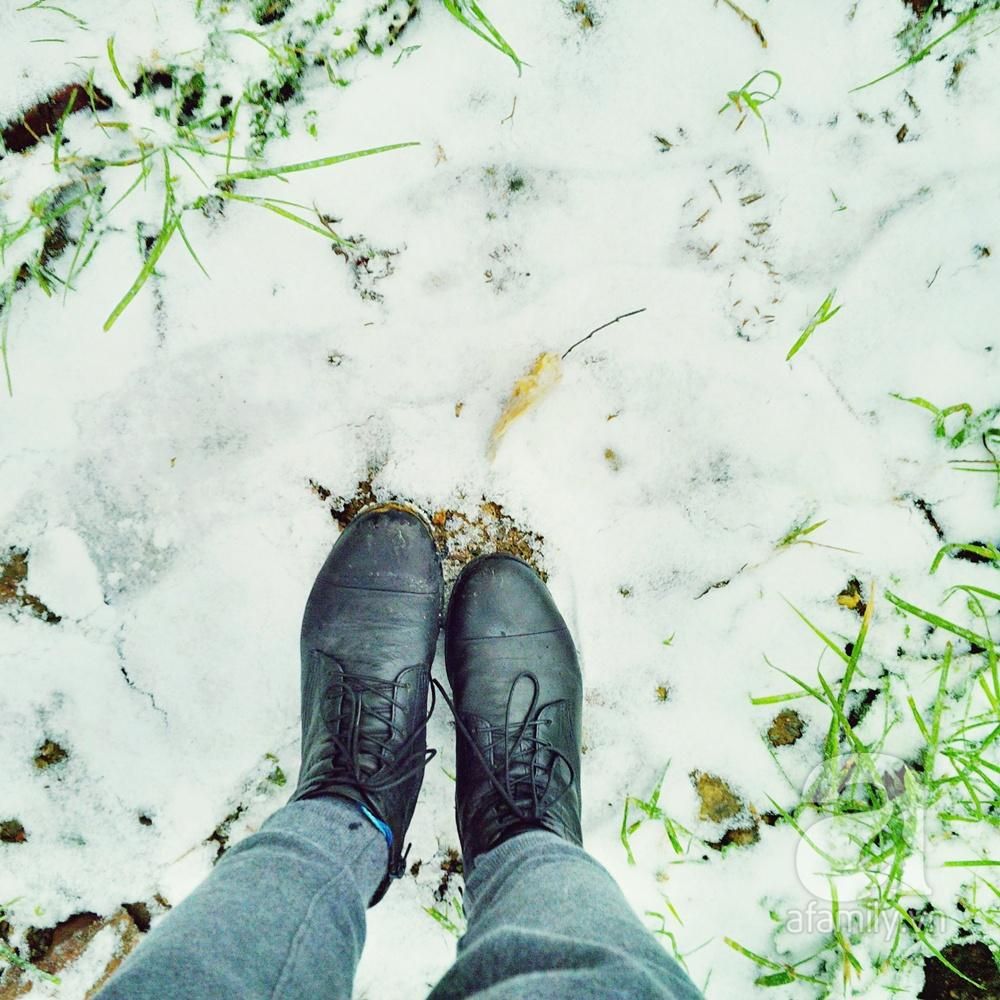 mon moi cho ngay sapa co bang tuyet dau mua tua nhu chon chau au thu nho - anh 40