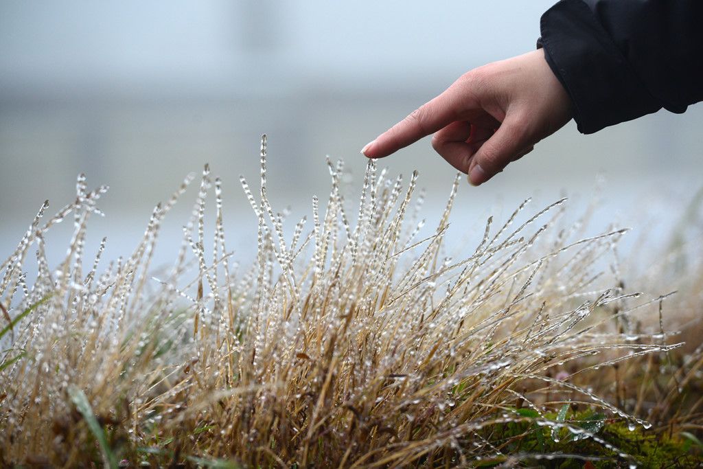 mon moi cho ngay sapa co bang tuyet dau mua tua nhu chon chau au thu nho - anh 11