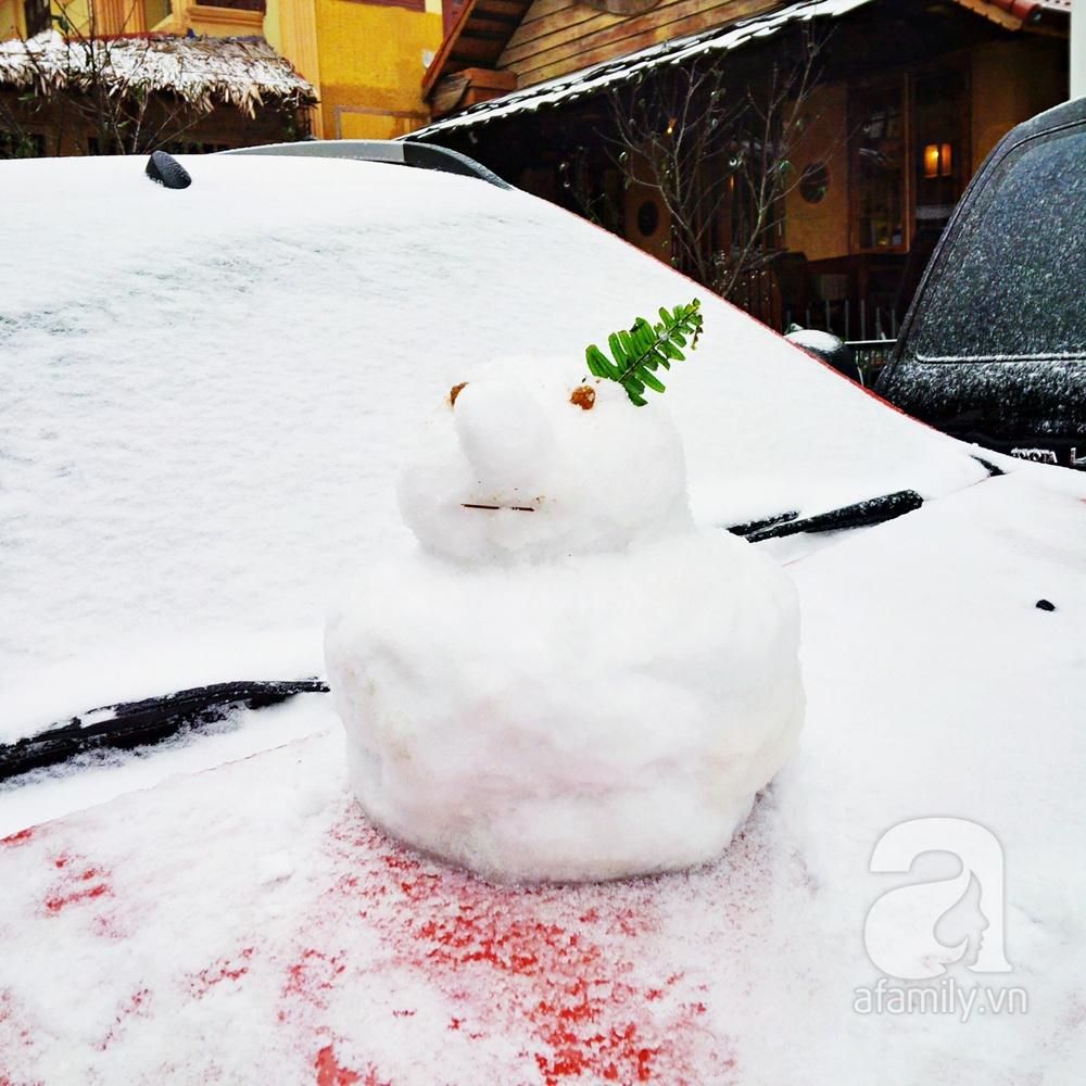 mon moi cho ngay sapa co bang tuyet dau mua tua nhu chon chau au thu nho - anh 29