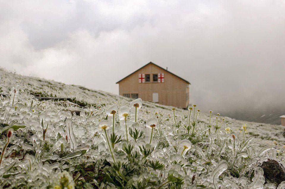 mon moi cho ngay sapa co bang tuyet dau mua tua nhu chon chau au thu nho - anh 1