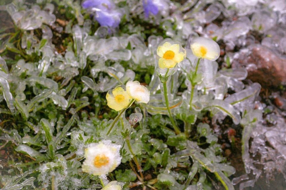 mon moi cho ngay sapa co bang tuyet dau mua tua nhu chon chau au thu nho - anh 14