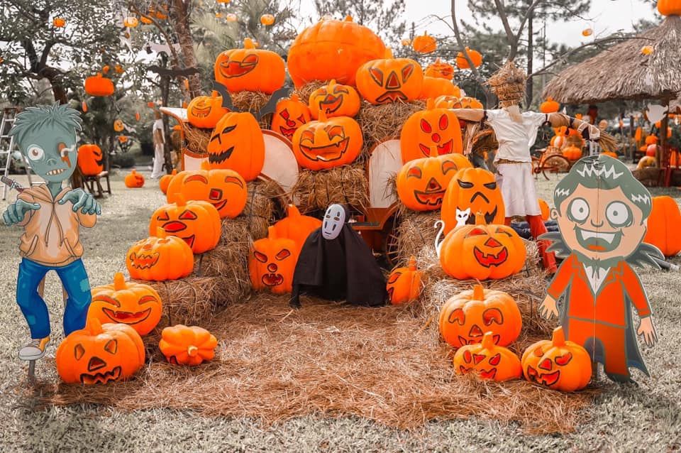 'Quẩy tưng bừng' tại LỄ HỘI HALLOWEEN ĐỘC NHẤT VÔ NHỊ rùng rợn nhất Hà Nội - ảnh 5 "quay tung bung" tai le hoi halloween doc nhat vo nhi rung ron nhat ha noi - anh 5