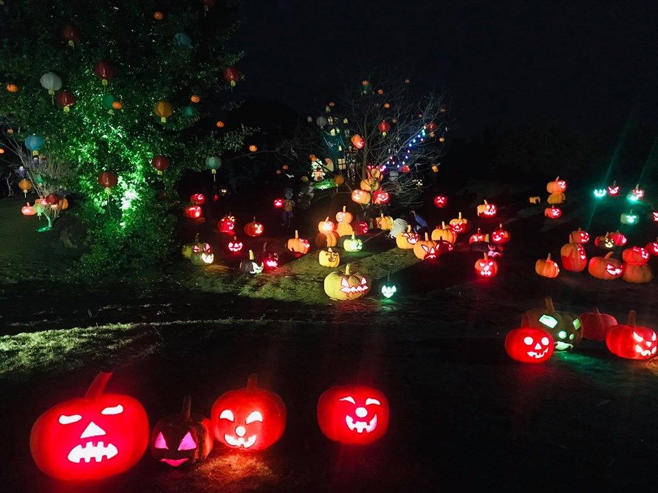 'Quẩy tưng bừng' tại LỄ HỘI HALLOWEEN ĐỘC NHẤT VÔ NHỊ rùng rợn nhất Hà Nội - ảnh 35 "quay tung bung" tai le hoi halloween doc nhat vo nhi rung ron nhat ha noi - anh 35