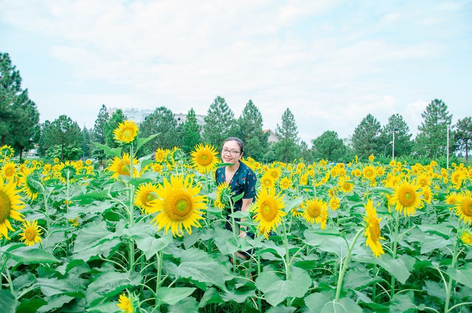 'Quẩy tưng bừng' tại LỄ HỘI HALLOWEEN ĐỘC NHẤT VÔ NHỊ rùng rợn nhất Hà Nội - ảnh 53 "quay tung bung" tai le hoi halloween doc nhat vo nhi rung ron nhat ha noi - anh 53