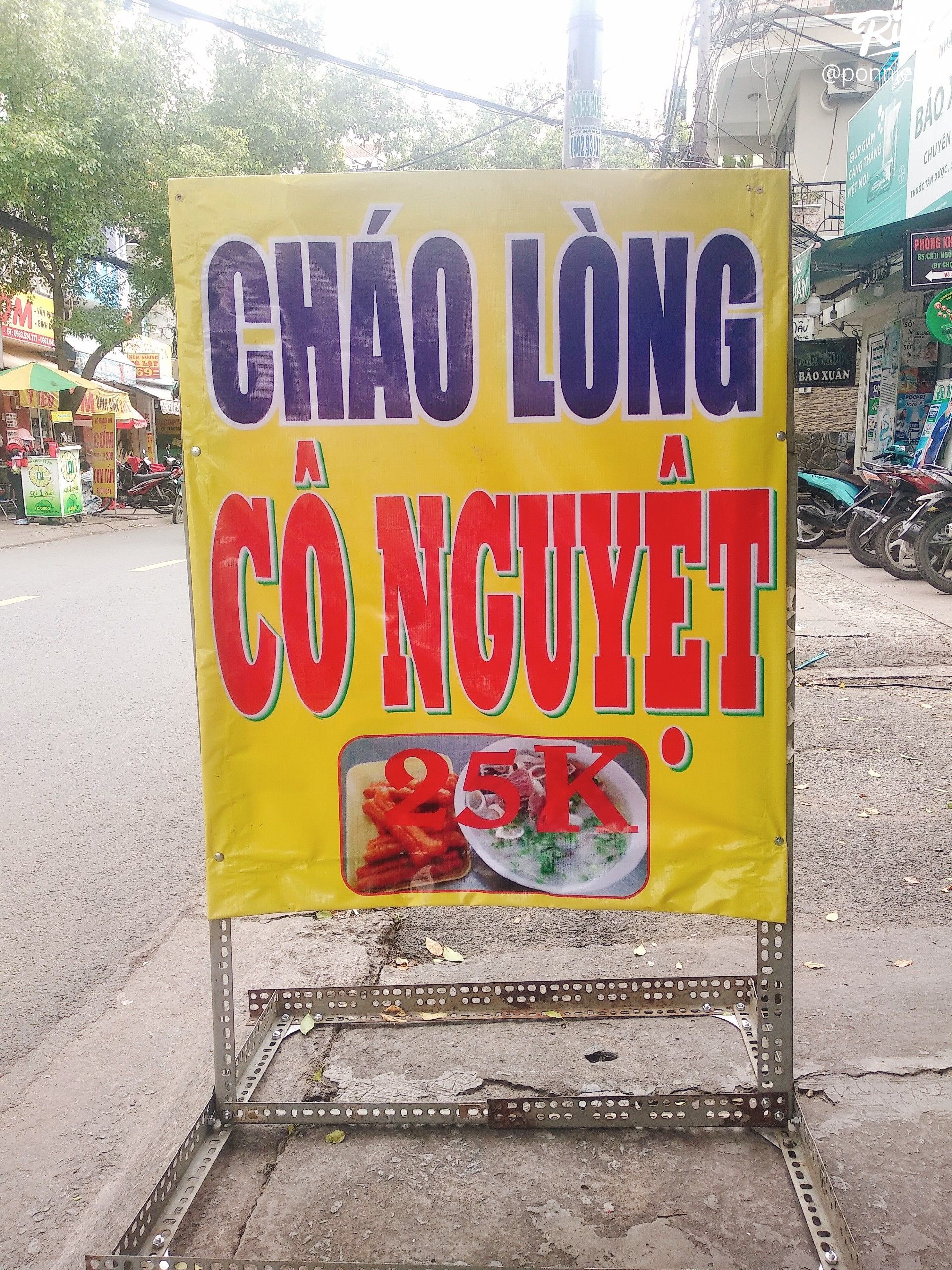 chao long co nguyet - anh 1