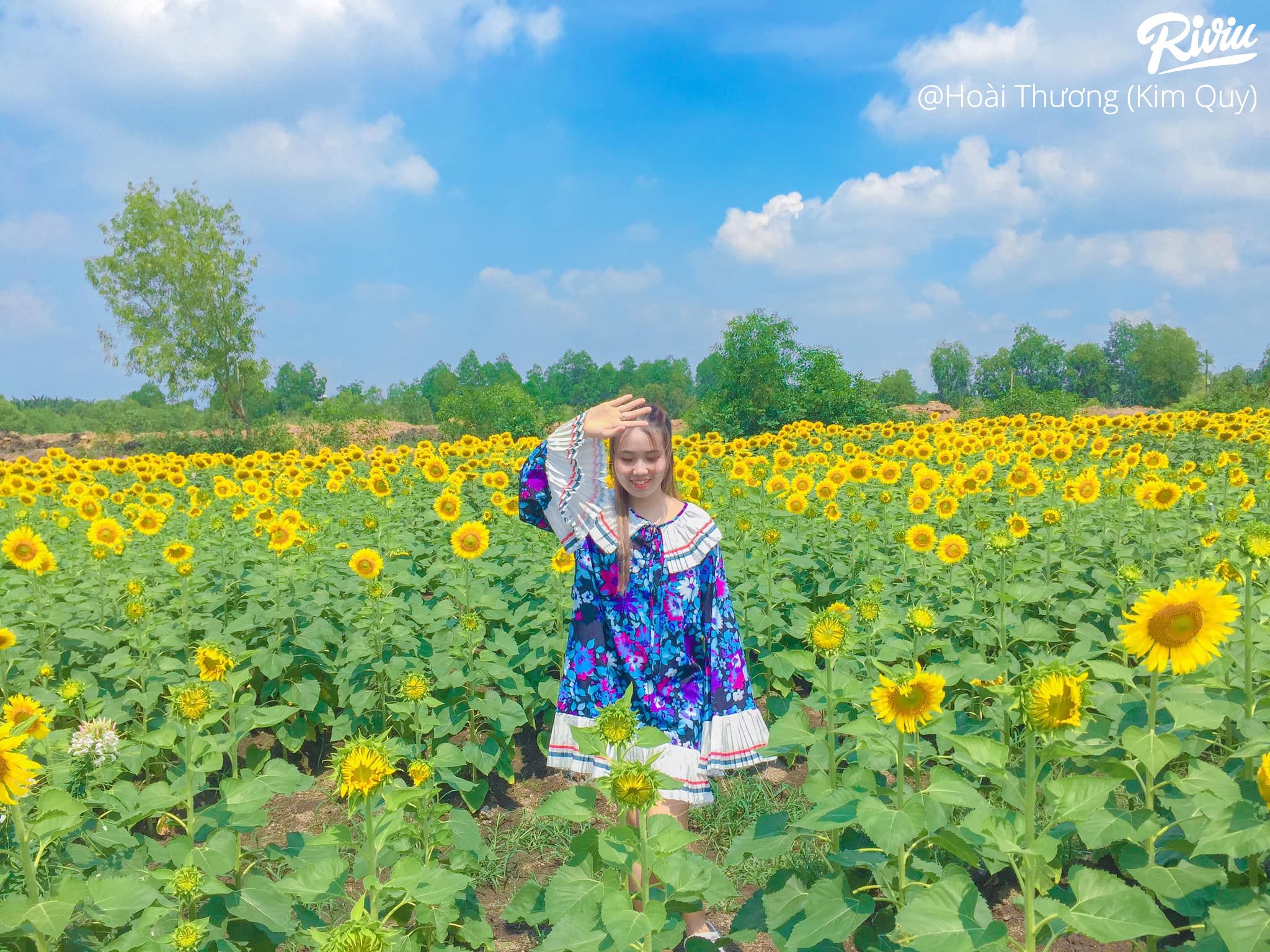 Vườn hoa Tam Đa Tam Đa, Phường Trường Thạnh, Quận 9, Hồ Chí Minh | riviu.vn