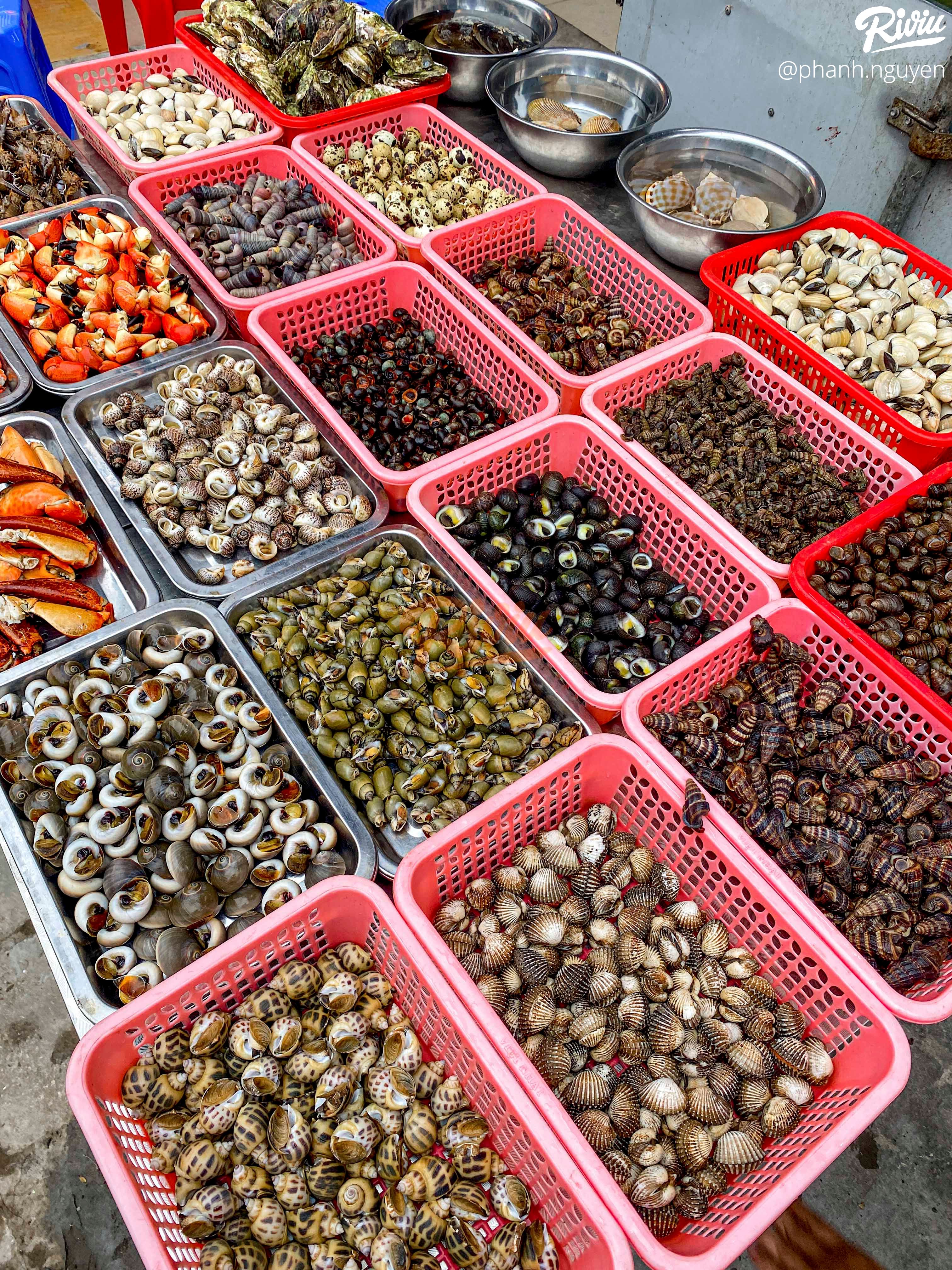 Ăn hoài không chán quán ốc Hải Phòng ngon bất chấp của sinh viên khu Cầu Giấy - ảnh 7 an hoai khong chan quan oc hai phong ngon bat chap cua sinh vien khu cau giay - anh 7