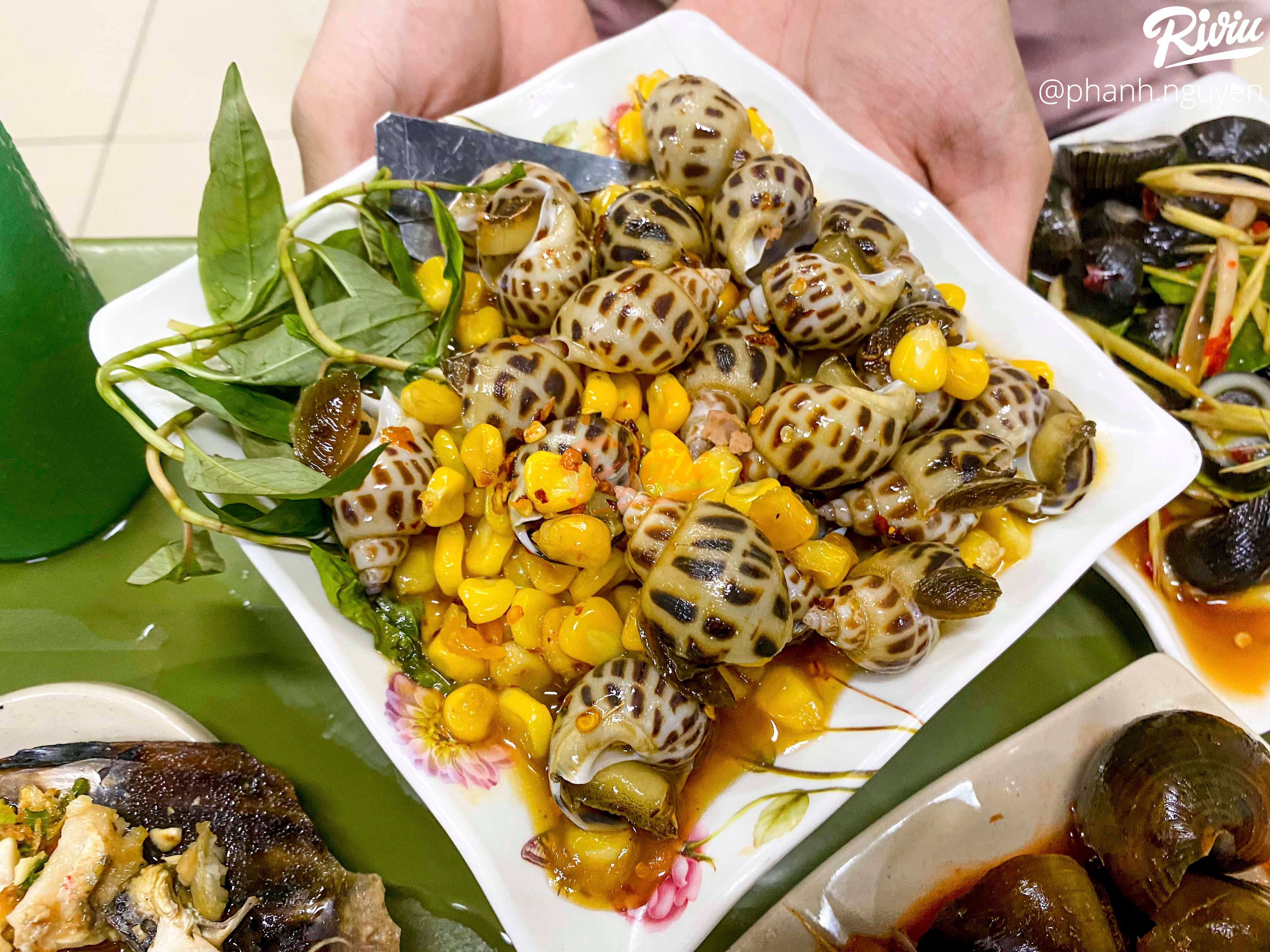 Ăn hoài không chán quán ốc Hải Phòng ngon bất chấp của sinh viên khu Cầu Giấy - ảnh 24 an hoai khong chan quan oc hai phong ngon bat chap cua sinh vien khu cau giay - anh 24