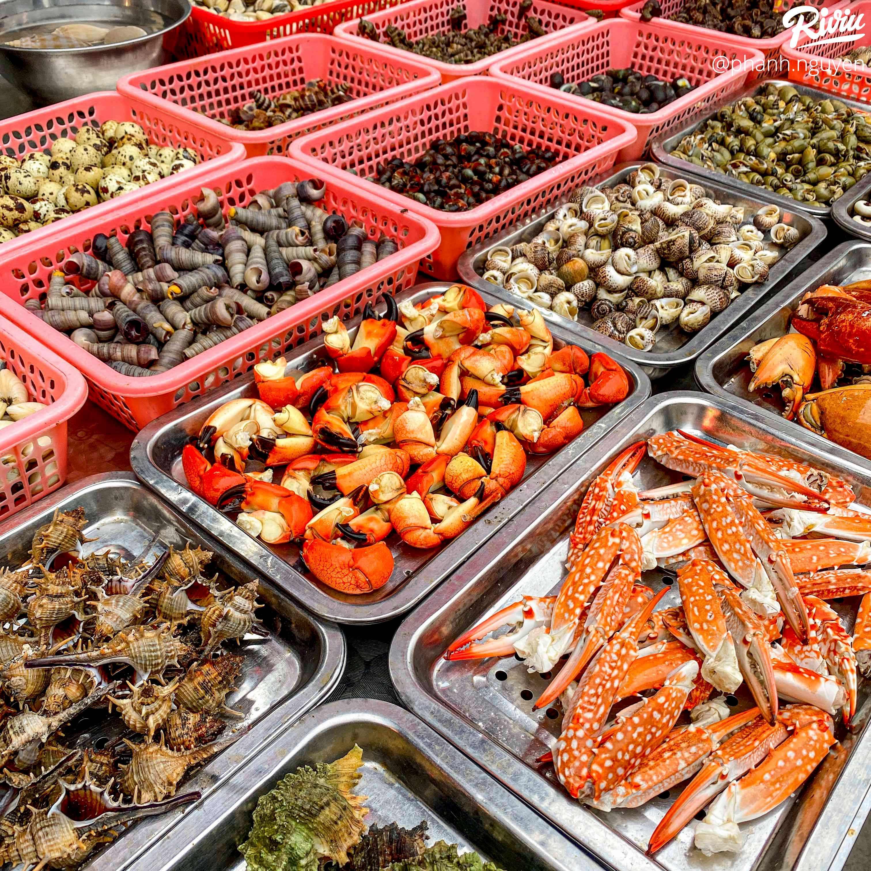 Ăn hoài không chán quán ốc Hải Phòng ngon bất chấp của sinh viên khu Cầu Giấy - ảnh 6 an hoai khong chan quan oc hai phong ngon bat chap cua sinh vien khu cau giay - anh 6