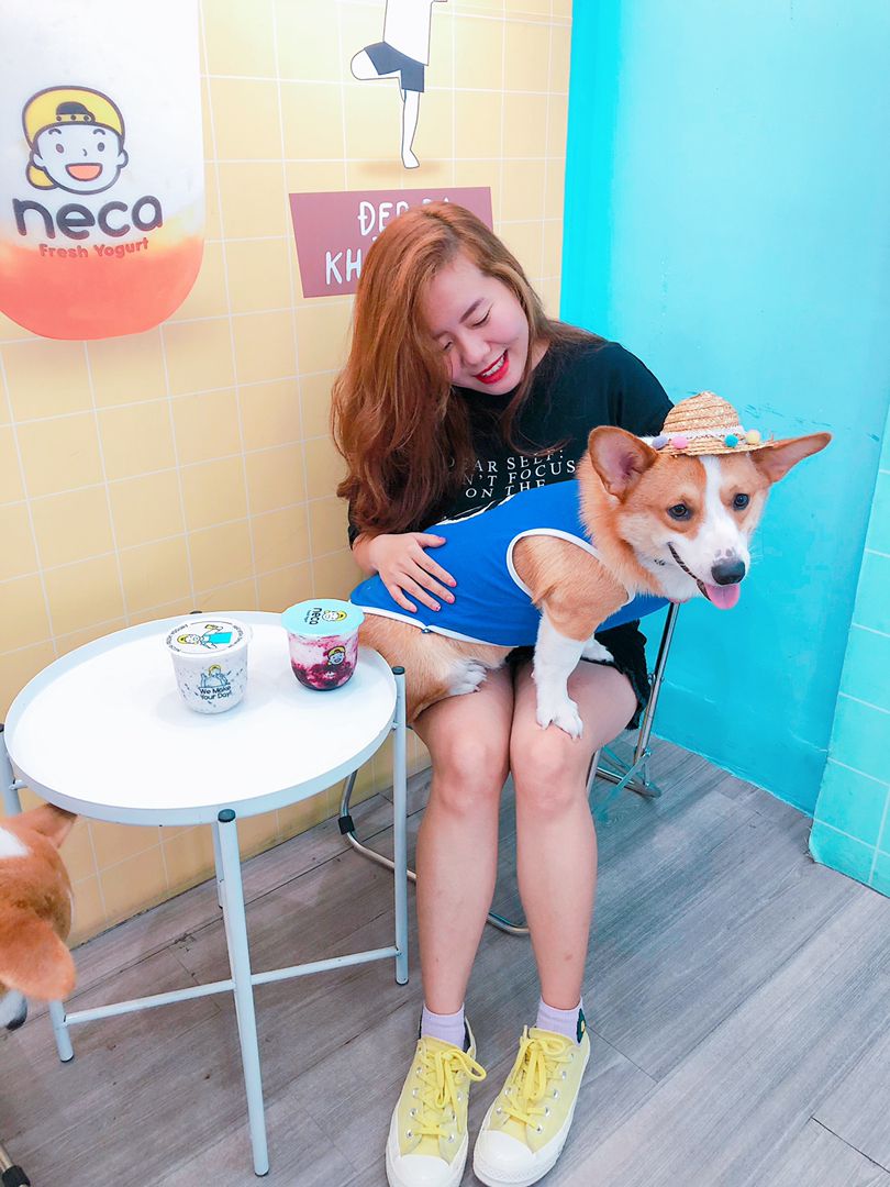 ĂN SỮA CHUA LÀ CHÍN, NỰNG MẤY EM CORGI LÀ MƯỜI =)))) 