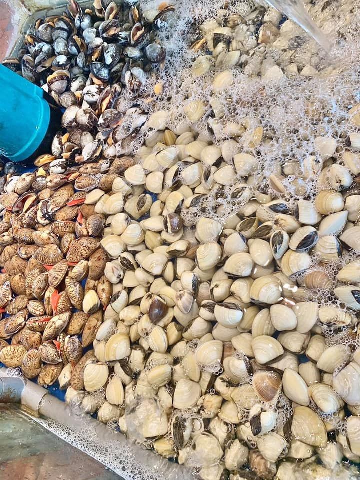 Ăn no ná thở tại '8 quán Buffet bình dân' ngập tràn hải sản tươi rói ở Sài Gòn - ảnh 6 an no na tho tai "8 quan buffet binh dan" ngap tran hai san tuoi roi o sai gon - anh 6