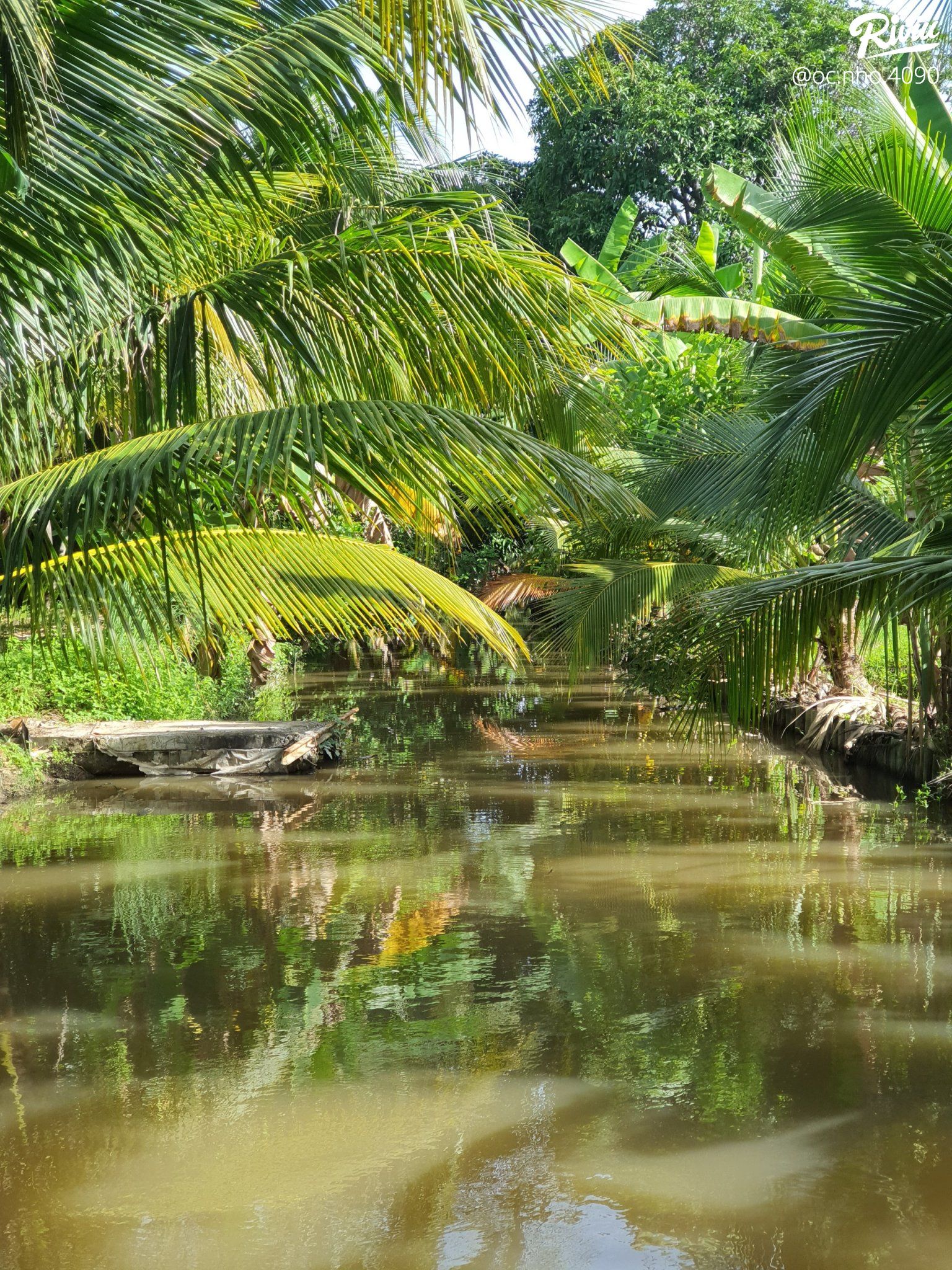 hakia garden - du lich sinh thai am thuc chay - anh 7