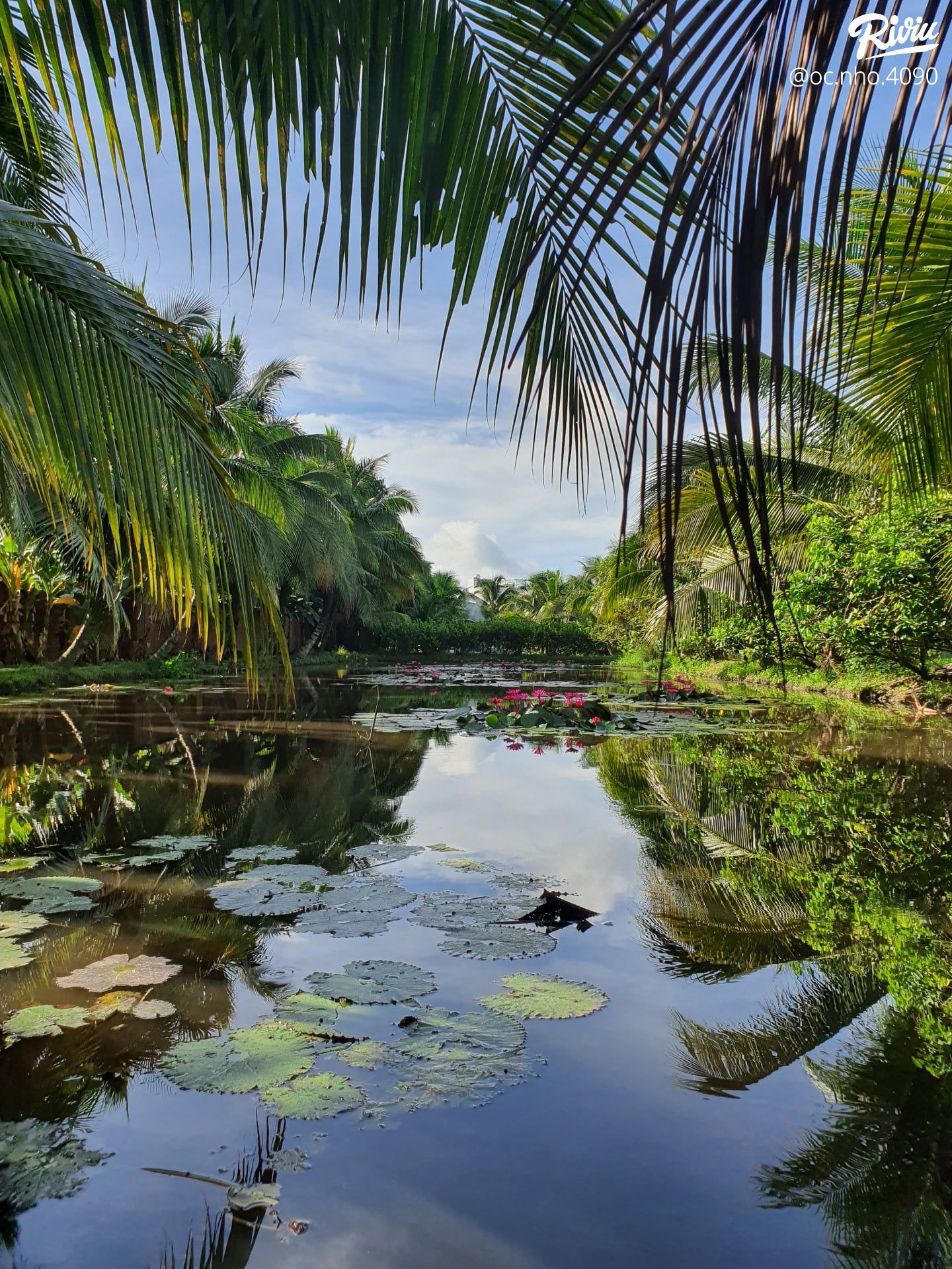 hakia garden - du lich sinh thai am thuc chay - anh 1