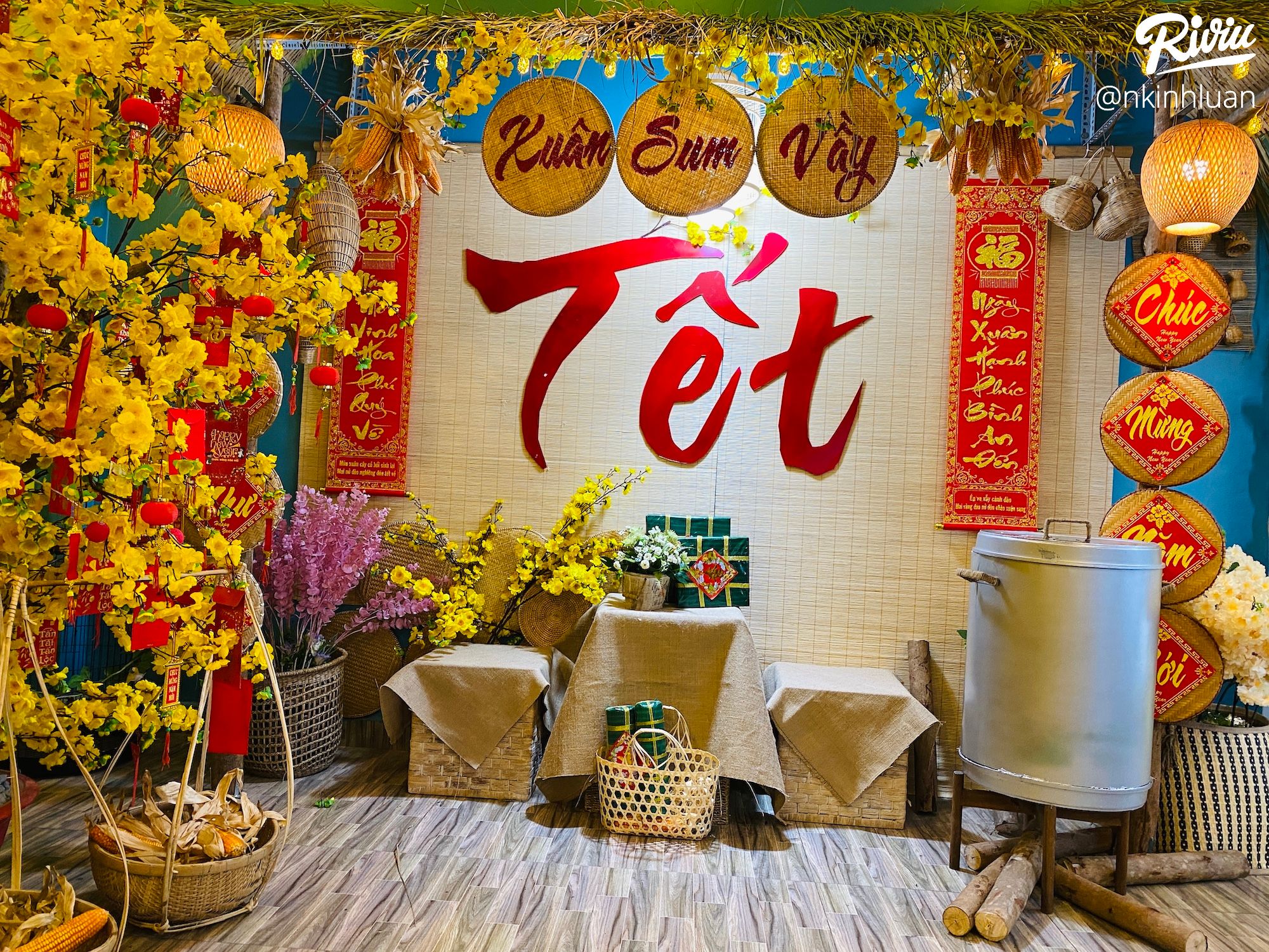 Tiệm trà Chúng ta 10 năm sau, nơi ngập tràn sắc màu của những loài hoa. - ảnh 1 tiem tra chung ta 10 nam sau, noi ngap tran sac mau cua nhung loai hoa. - anh 1