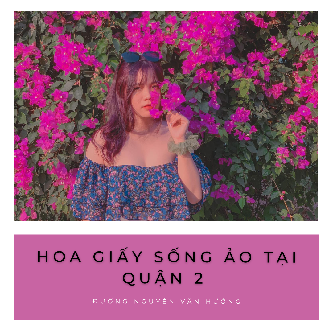 HOA GIẤY SỐNG ẢO XINH NGAY QUẬN 2