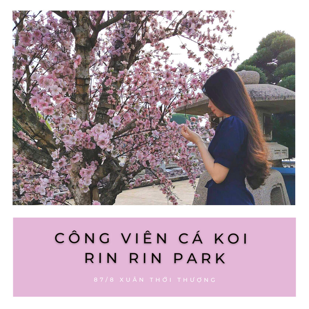 CÔNG VIÊN CÁ KOI NHẬT BẢN