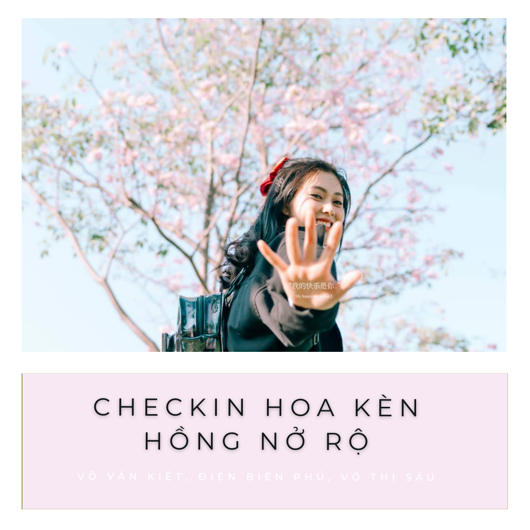 CHECKIN HOA KÈN HỒNG SIÊU HOT ????