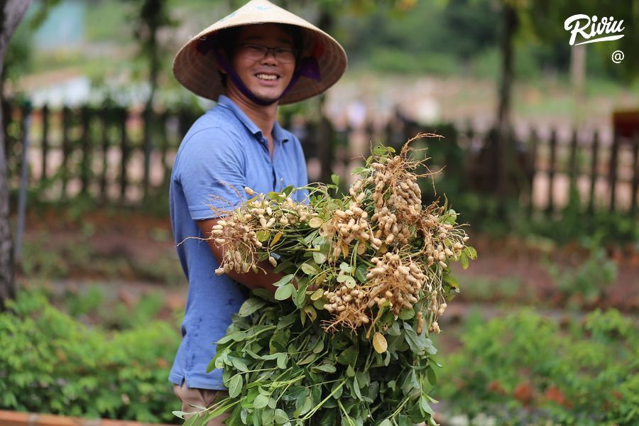 farmstay hoa minh cung thien nhien - anh 1