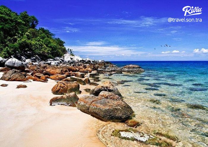 KINH NGHIỆM DU LỊCH CÙ LAO CHÀM CẦN THIẾT VÀ ĐẦY ĐỦ NHẤT 2022 - ảnh 1 kinh nghiem du lich cu lao cham can thiet va day du nhat 2022 - anh 1